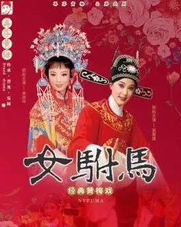 黄梅戏歌曲视频大全