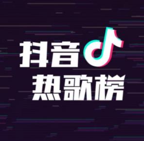 抖音最火歌曲精选《新流行热歌榜10CD》