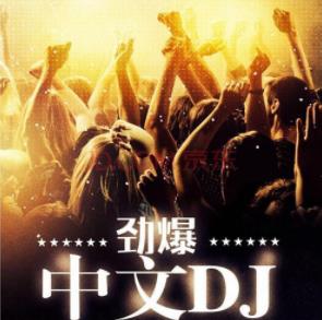 车载抖腿中文DJ高品质合集(MD1电驾)