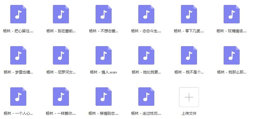 《杨林》精选16首无损歌曲-免费音乐网