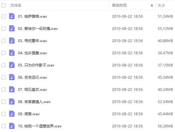 《周传雄》23张精品专辑无损音质歌曲合集-免费音乐网